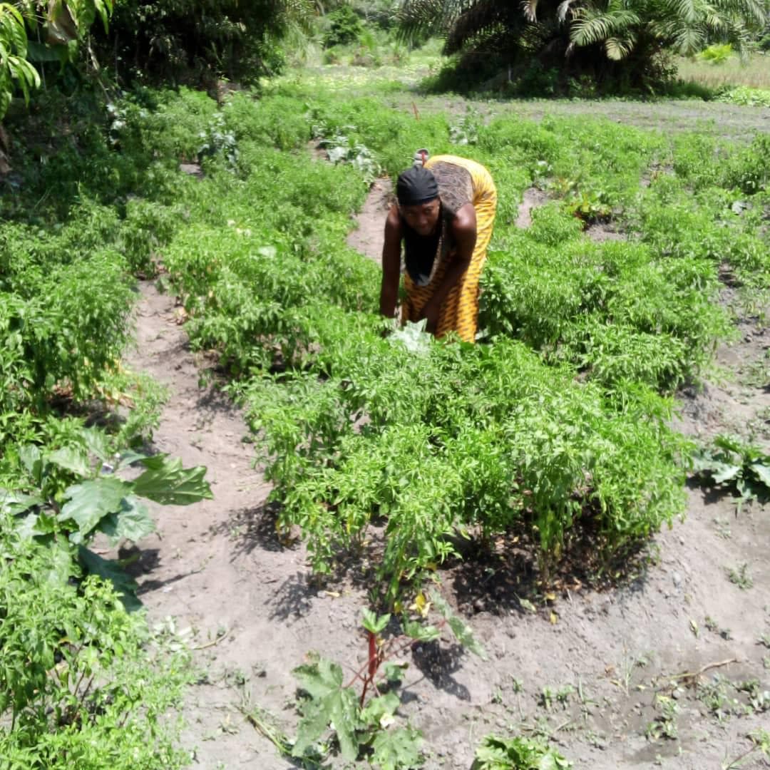 Climate Change & Natural Resource Management